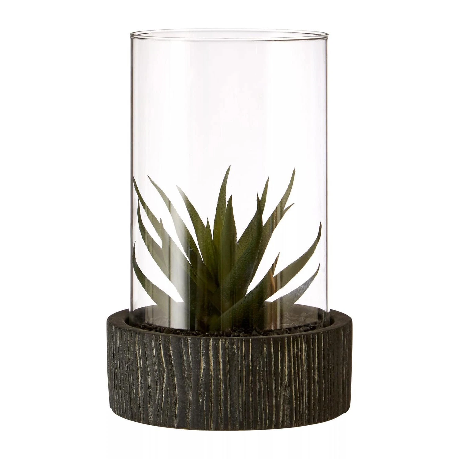Fiori Large Succulent With Black Stone Base 2 Fiori Large Succulent With Black Stone Base - Image 2