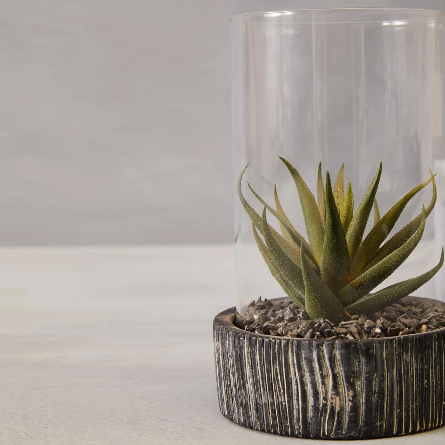 Fiori Large Succulent With Black Stone Base 1 Fiori Large Succulent With Black Stone Base