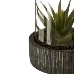 Fiori Large Succulent With Black Stone Base 5 Fiori Large Succulent With Black Stone Base -Julian Charles 2907030 mac 01 1500 x 1500