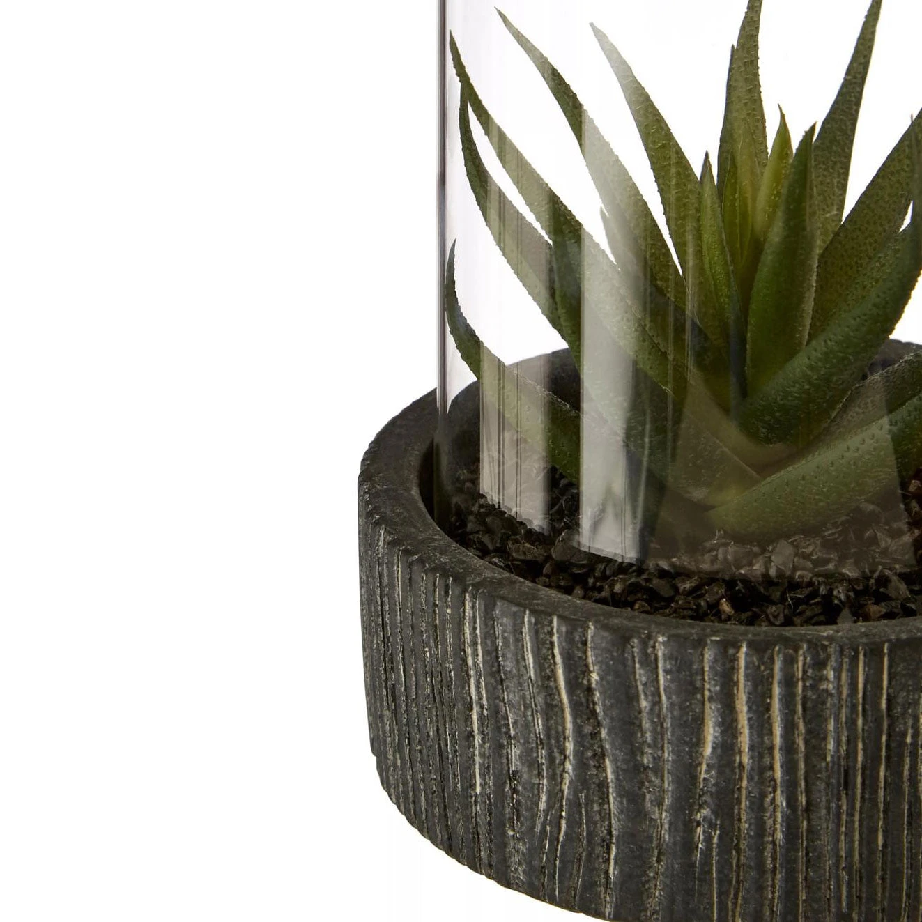 Fiori Large Succulent With Black Stone Base 3 Fiori Large Succulent With Black Stone Base - Image 3