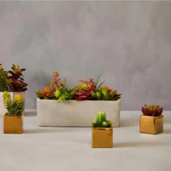 Fiori Mini Succulents In Gold Pots - Set Of 3 -Julian Charles 2907033 liv 01 1500 x 1500