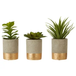 Fiori Set Of 3 Grey Pot Succulents