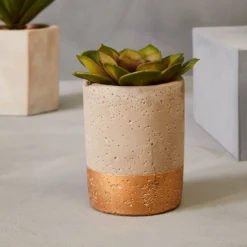 Fiori Set Of 3 Grey Pot Succulents -Julian Charles 2907039 liv 04