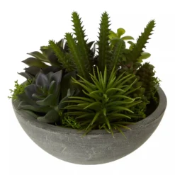 Fiori Mixed Succulent In Paper Stone Effect Pot