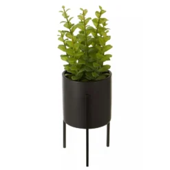 Fiori Thyme In Black Faux Concrete Pot On Stand
