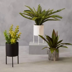 Fiori Thyme In Black Faux Concrete Pot On Stand -Julian Charles 2907051 liv 01 1500 x 1500