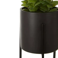 Fiori Thyme In Black Faux Concrete Pot On Stand -Julian Charles 2907051 mac 01 1500 x 1500