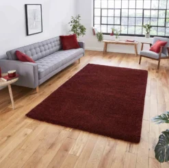 Sierra 9000 Ruby Red Shaggy Rug